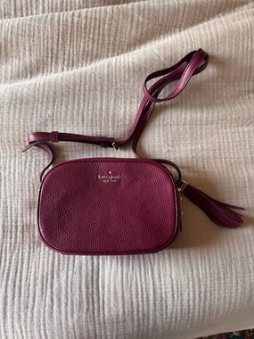 Kate Spade crossbody camera bag in Wine